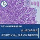 벡스퍼트 - 용인시 수지구 광교중앙로 338 | 강아지 만성 설사, 염증성 장 질환(IBD) : 대구 내과 전문 동물병원/대구24시동물병원/달서구24시동물병원
