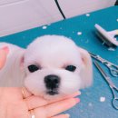 구미정문약국 이미지