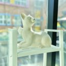 구영 고양이 무마취 미용 이미지