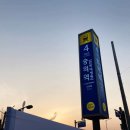 미추홀구꽃집, 숭의동꽃집 추천 &#34;언니네꽃시장&#34; 에서 스노우사파이어 분양후기 ♬