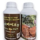 라파 팜 이미지