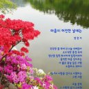 마음이 허전한 날에는 이미지