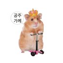 에이스소프트 | 이동수면공학연구소 후기 [에이스침대 &amp; 스타필드 고양🐱다녀오다!]