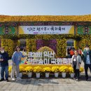 ♧2023-10-27♧ 익산 천만송이 국화 축제 이미지