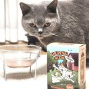 우리고양이 | [이루앙] 입맛 까다로운 우리 집 고양이 영양 보충! 습식사료 워터스튜 후기