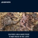 경상국립대학교 급식소 이미지