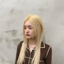 아리헤어 이미지