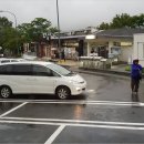 알프스비디오 이미지