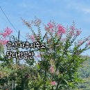 달다란금산