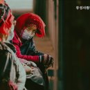 유성사랑나무