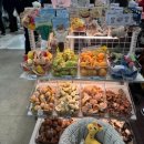 바르다 펫 부산센텀점 | 2025 부산 펫쇼 강아지 없이 벡스코 펫페어 둘러보는 후기