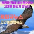 양영초교 앞 네이버블로그