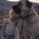 영하목장 이미지