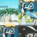 반딧불독서실 | 櫻花