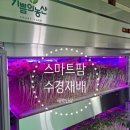 도심속 힐링 산업을 실현하는 기쁨의농산과 함께해요!!&#34;똑똑한 원스톱 재배&#34; 스마트팜 수경재배 시스템