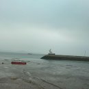 도리포민박 이미지