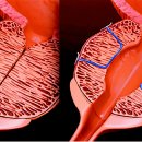 좋은여성비뇨의학과의원 이미지