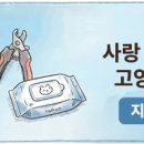 도원플라워