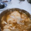 동해곰치 이미지