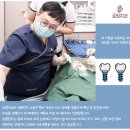 로원치과의원 이미지