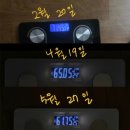 비바짐 이미지