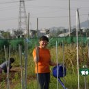 옥길농장 이미지