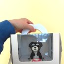 멍멍앤쿡 이미지