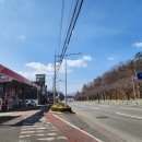 5* 울산 염포산 '26.03.14.토 이미지