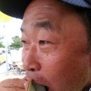 광어직판장 이미지