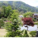 네이처펜션 이미지