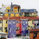 상업용 81 이미지