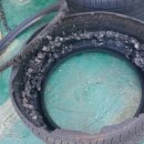 타이어365 이미지