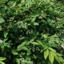 사오리농장 이미지