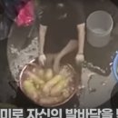 수정족발 이미지