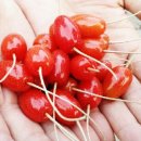 황제농원 이미지