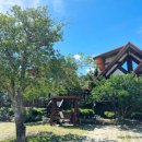 제주조이랜드 이미지