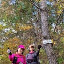 매화1리 경로당 이미지