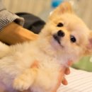 엠아이플랫폼