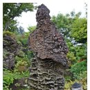 석부작박물관 이미지