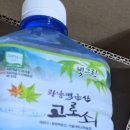 광양백운산서울대학술림고로쇠