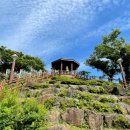 안덕면행정복지센터 이미지