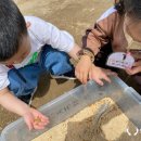 명지센텀유치원 이미지