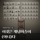 MMCA 서울 <이것은 개념미술이 (아니)다> 전시회 후기