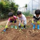 짝꿍숲어린이집 이미지