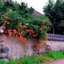 너머마을민박 이미지