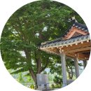 녹차밭 무인호텔 이미지