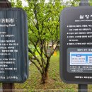 영축산순환산책로(광운대역) 티스토리