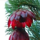 아름다운 사람들 이미지