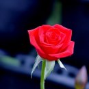 행복한선물 이미지