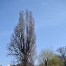 가가동물원 이미지